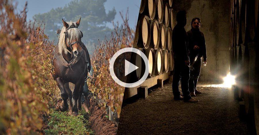 La Clef des Terroirs - Film documentaire