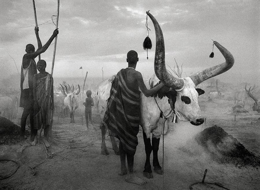 Sebastiao Salgado - Dinka du Soudan