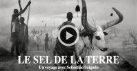 Le sel de la terre - Sebastiao Salgado