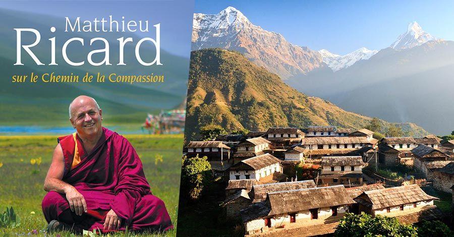 Matthieu Ricard, sur le chemin de la compassion - Film documentaire