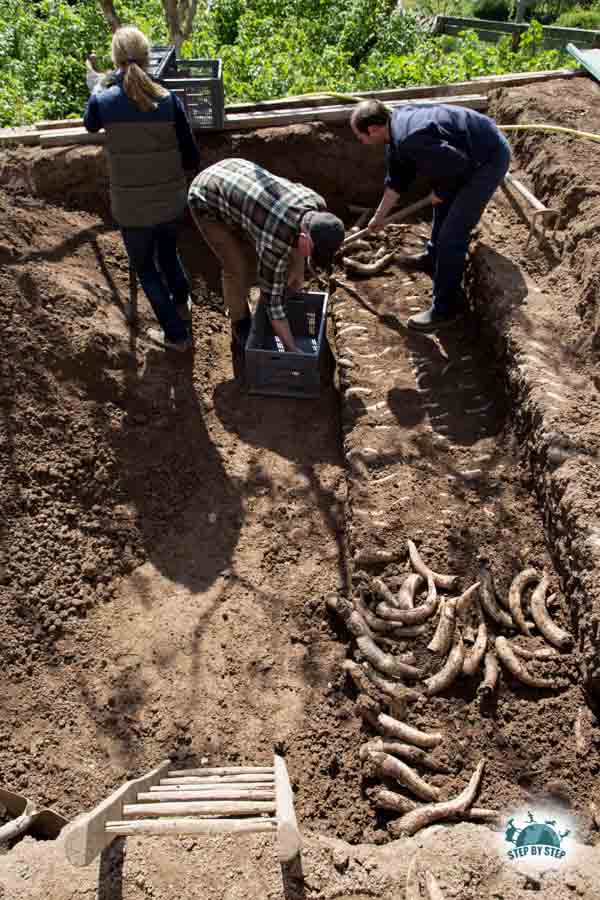 Chantier Bouse de Corne chez Biodynamie Services