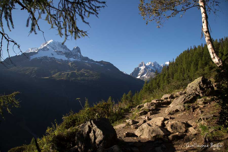 Aiguille Verte - Chamonix