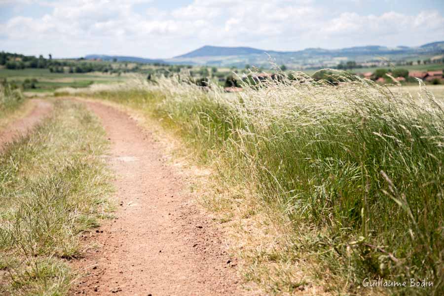 Le Chemin de Stevenson