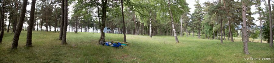 Bivouac sous les arbres