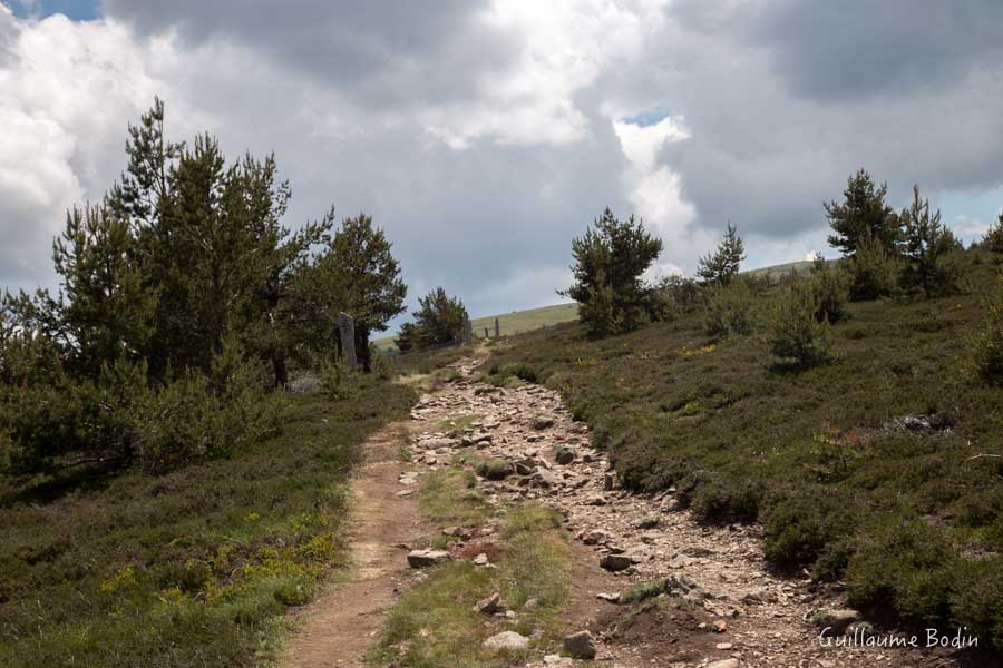 En montant au Mont Lozère