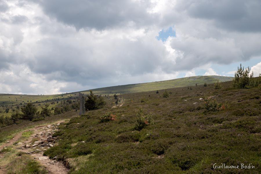 En montant au Mont Lozère