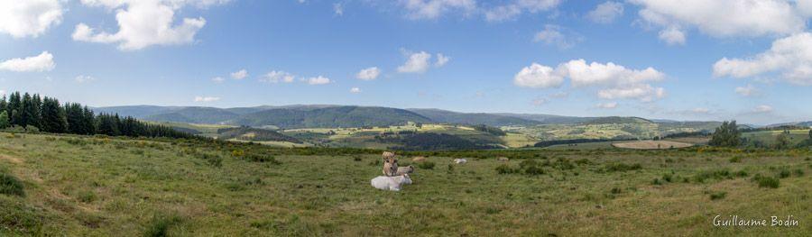 Vu sur le Mont Lozère