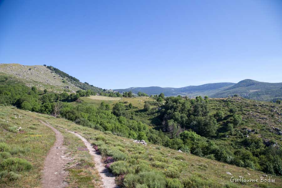 Le Mont Lozère