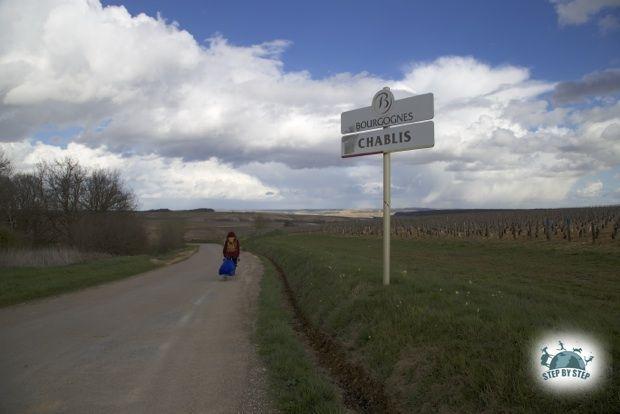 Vignoble de chablis