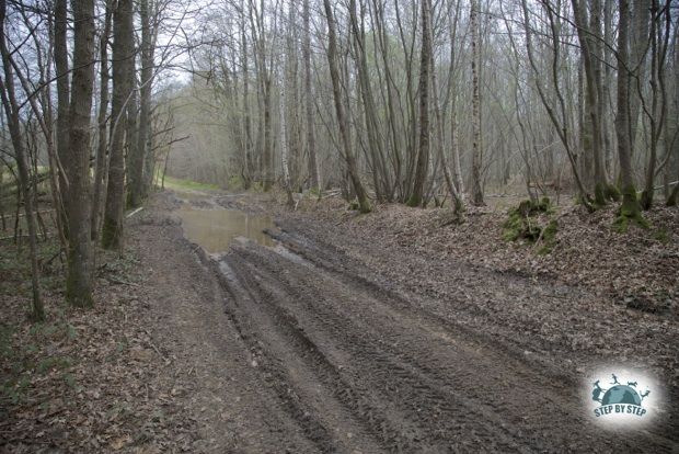 Chemin défoncé par les 4x4