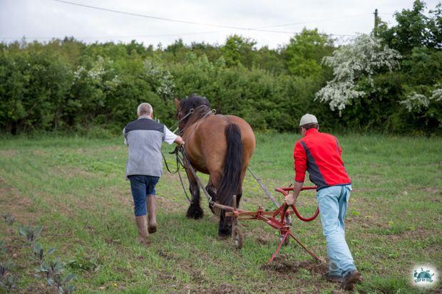 Guillaume à la Ferme des Valottes