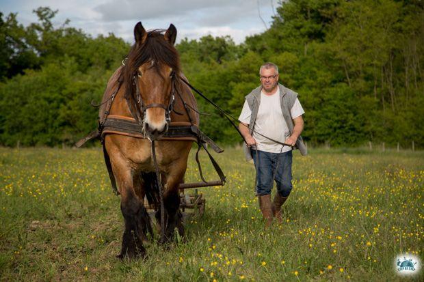 Alain et sa juments à la Ferme des Valottes