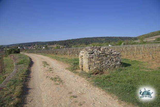 Cadolle sur le bord du chemin