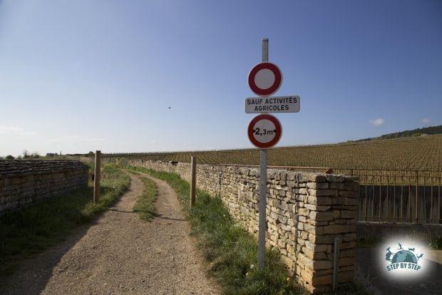 Le Chemin des Grands Crus