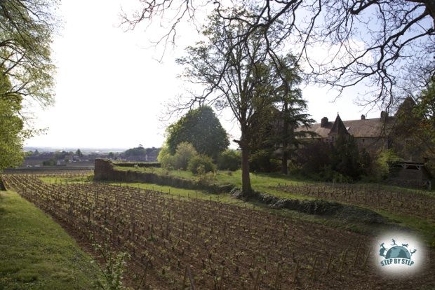 Le Château de Gevrey-Chambertin