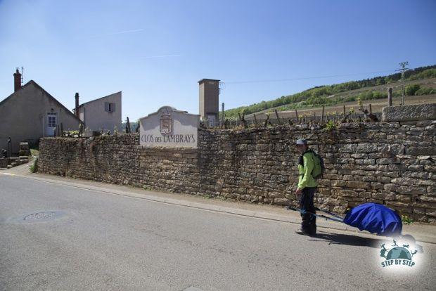 Olivia Sinet devant le Clos des Lambrays