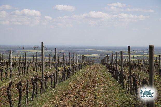 Hautes Côtes de Nuits