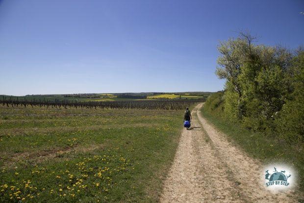 Hautes Côtes de Nuits