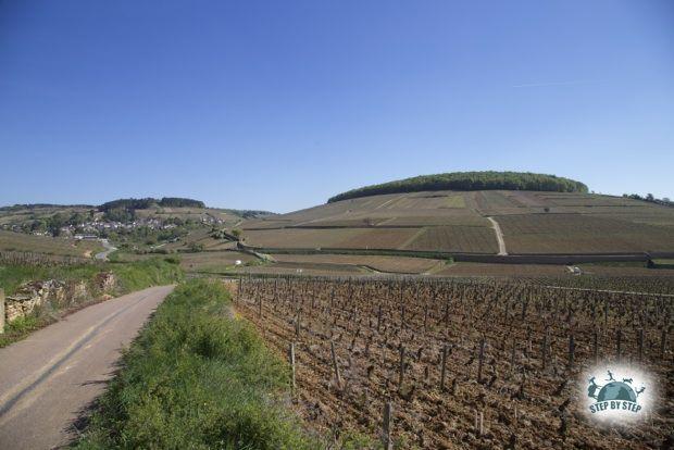 Pernand-Vergellesses et la Montagne de Corton