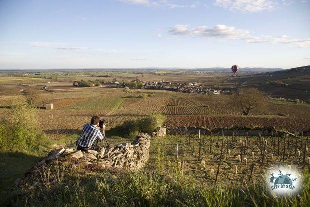 Montgolfière au dessus de Pommard