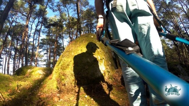 Le GR 11 dans Fontainebleau