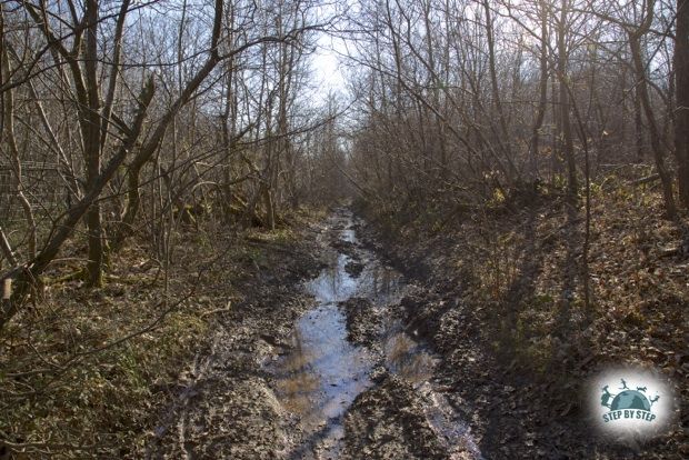 Chemin boueux