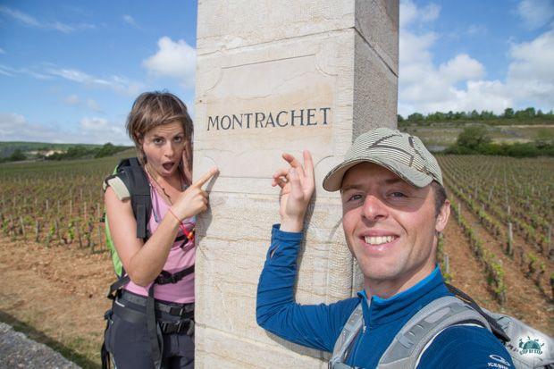 Montrachet