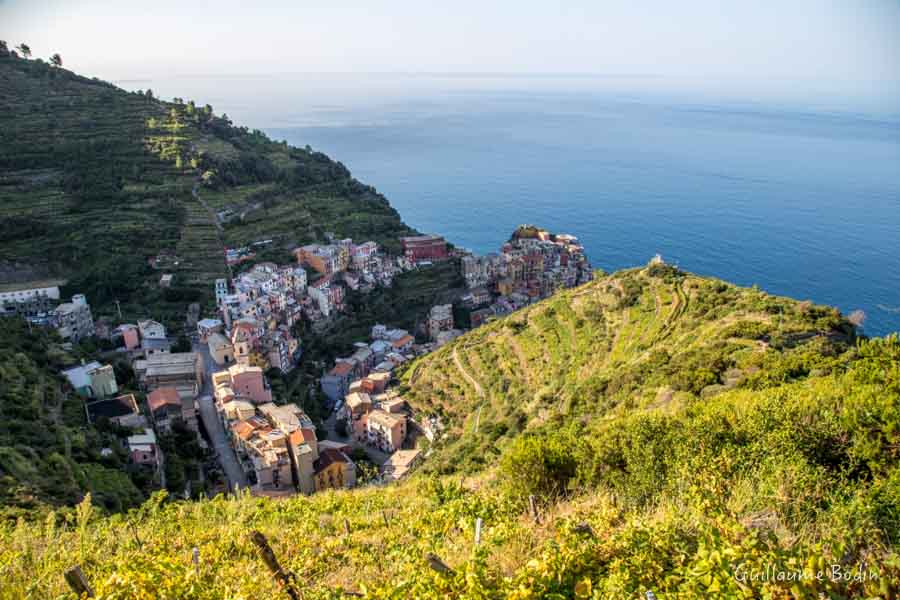 Vignoble des cinq terre - Manarola