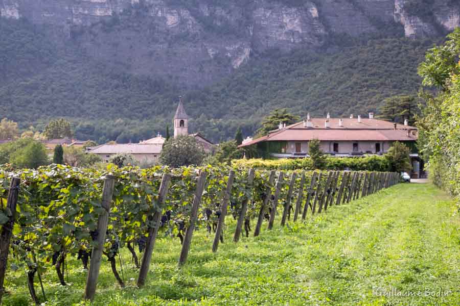 Domaine Foradori