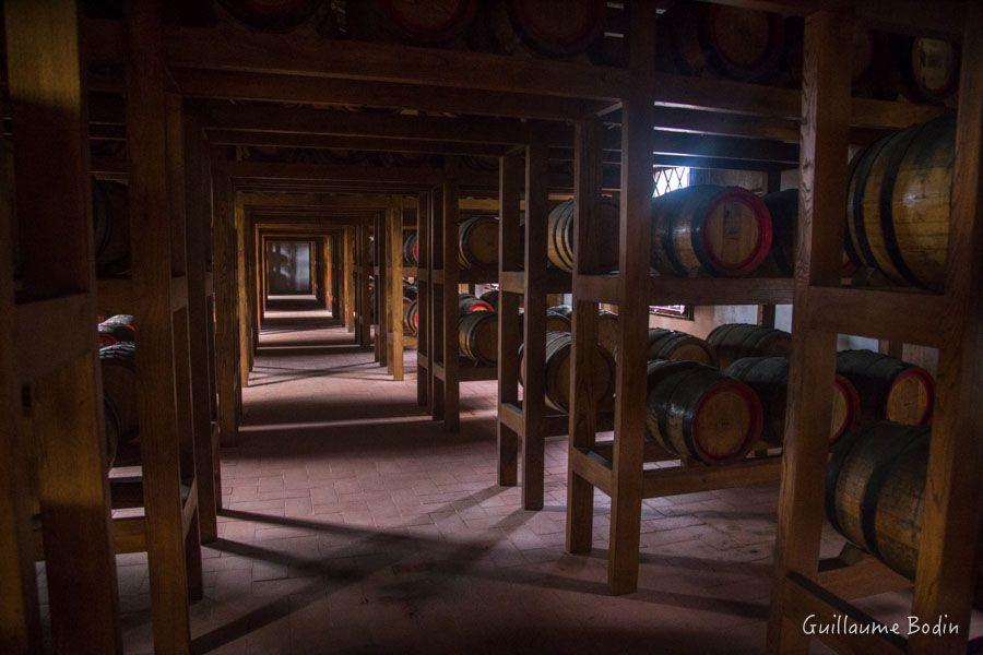 Cave de vieillissement du Vin Santo chez Avignonesi