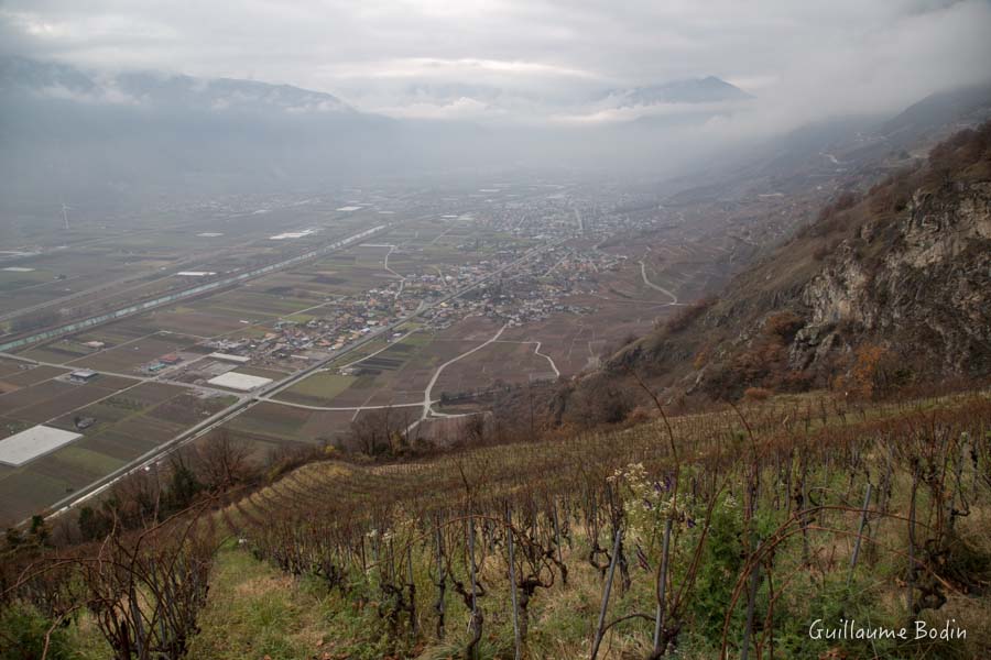 Domaine de Beudon - Les vignes dans le ciel